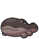 Clodsire