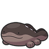 토오